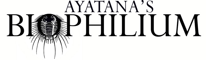 biophilium